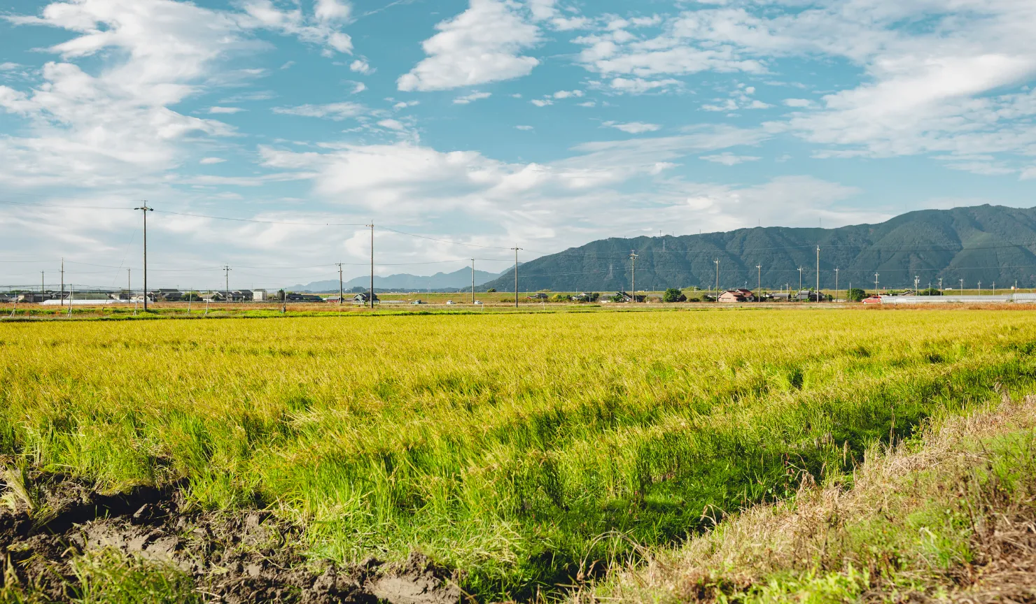 商品の6次化米粉のドーナツ販売