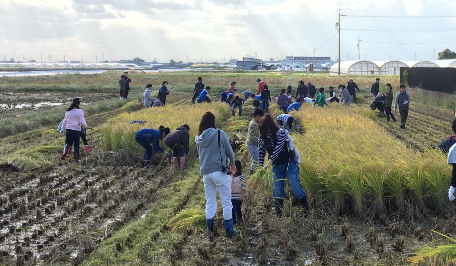 食べる人、消費者、地域との関わり