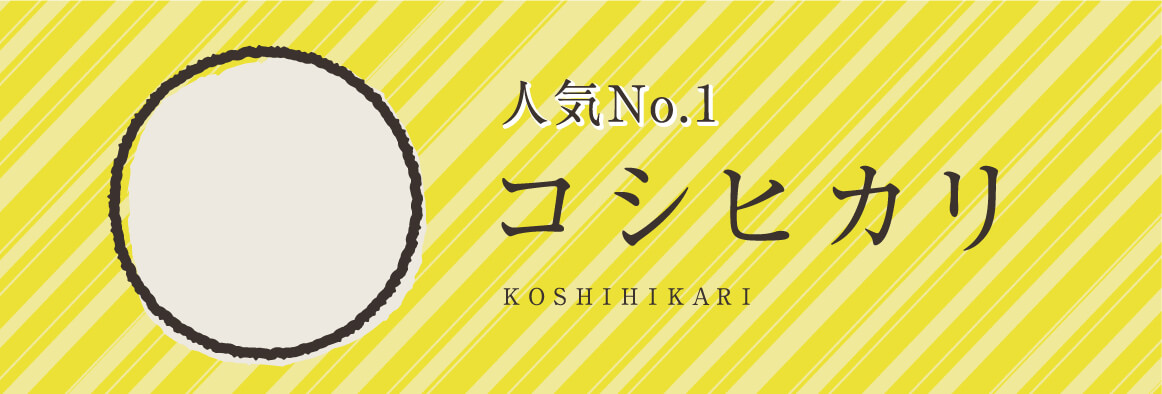 人気No.1 コシヒカリ KOSHIHIKARI