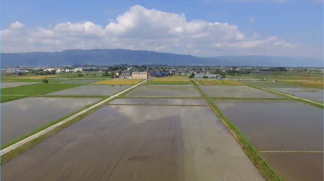 戸倉トラクターのある地域　パート２