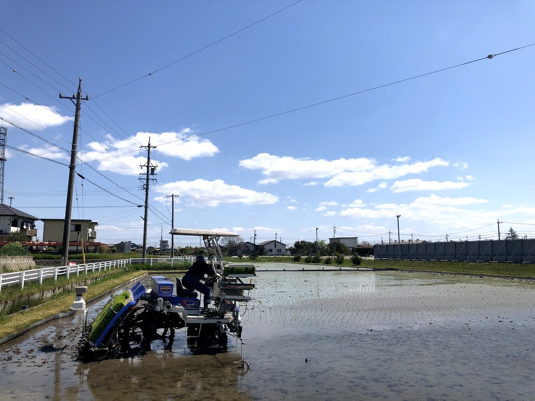 田植えがスタートしました！パート２