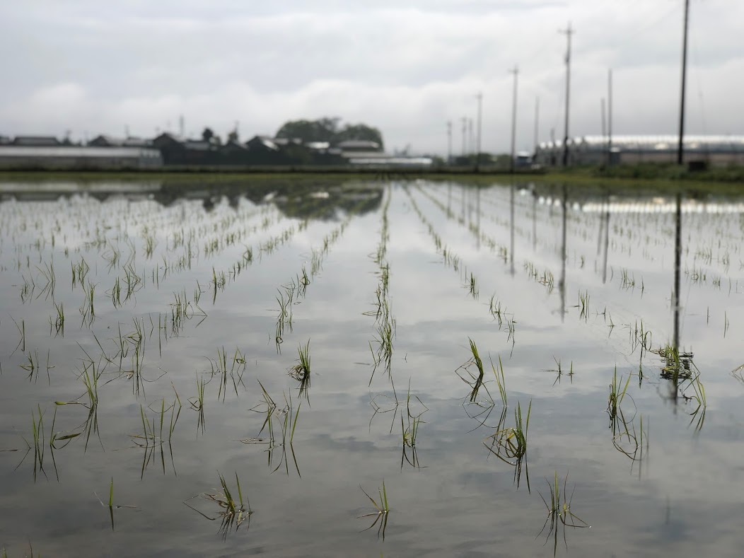戸倉トラクターのある地域　パート３