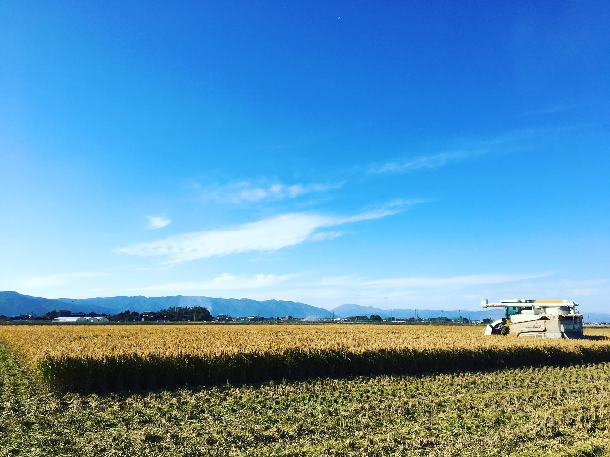 パソナ農援隊「新・農業人スタート」