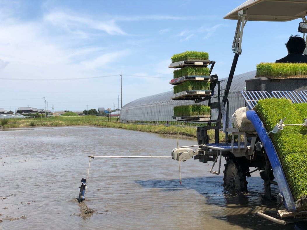 田植えがスタートしました！パート５