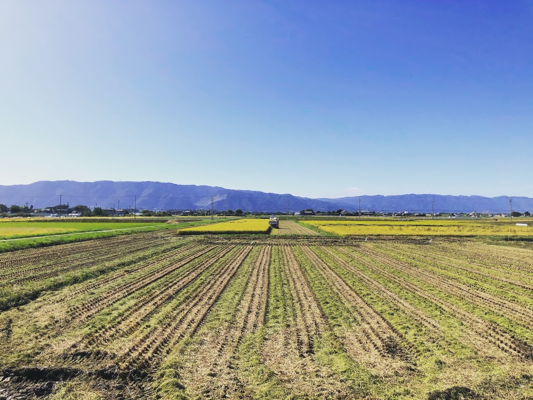 台風一過にて、、、