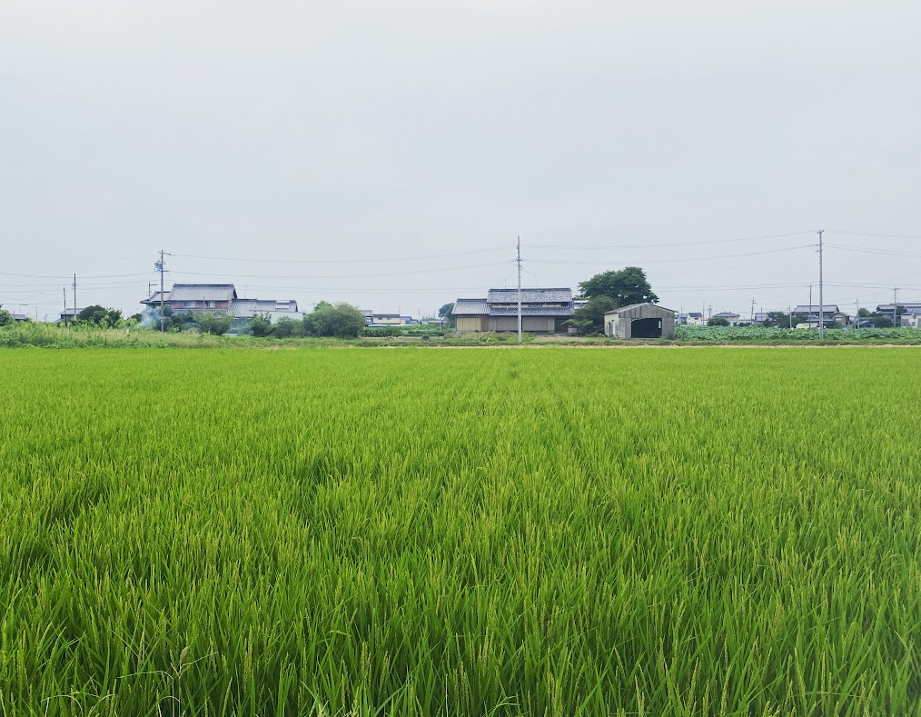 いつの間にか９月です、、、