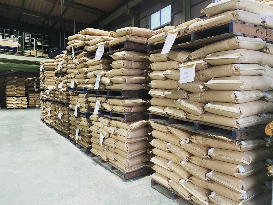 11月に入りました！