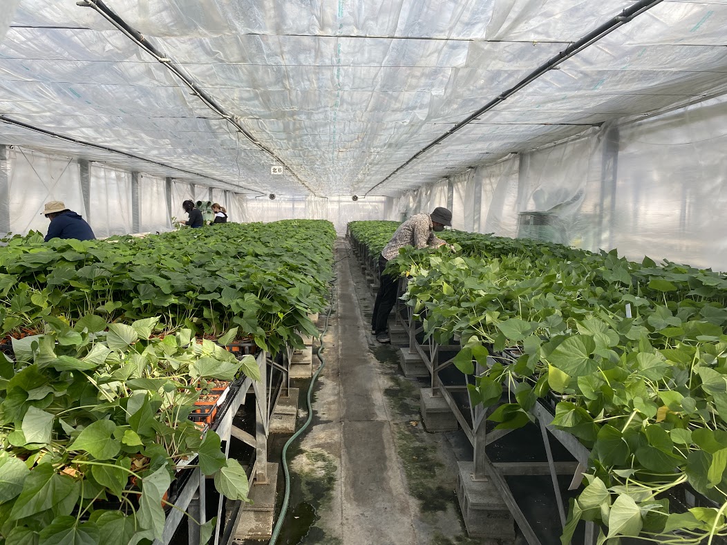 日本の技術は素晴らしい。