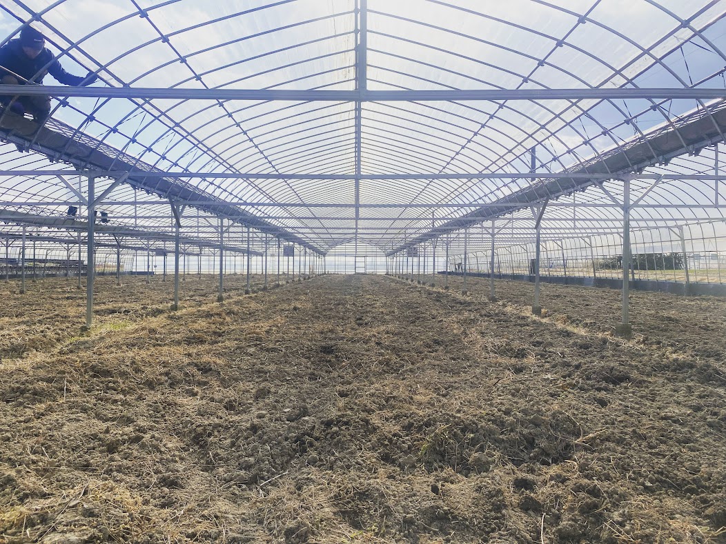 ２月に入りました！