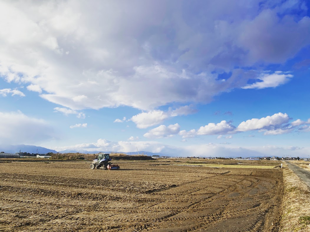 雪がよく降りますね、、、