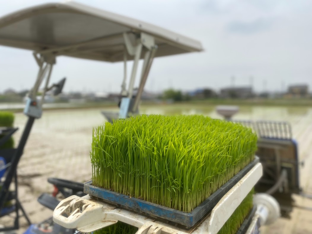 田植えのシーズンは大忙しです！