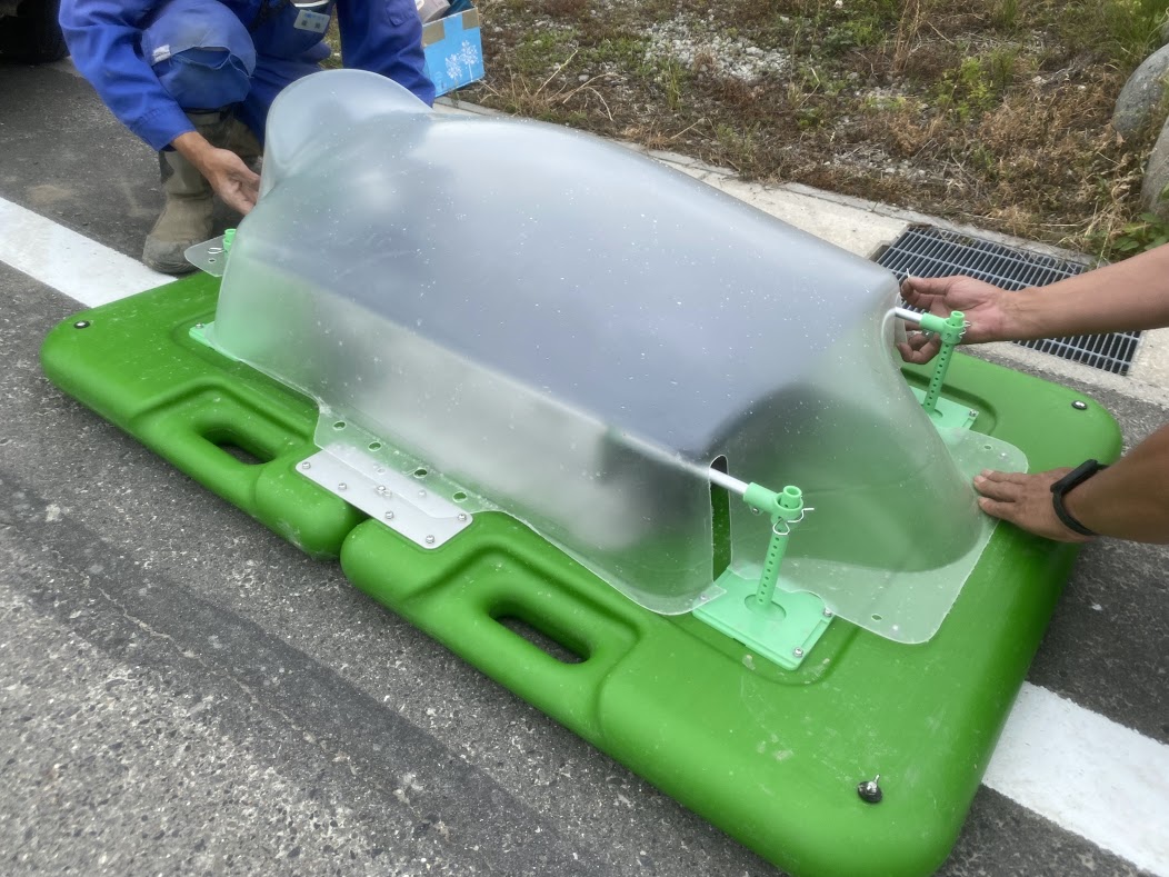 もう半年が終わりました。