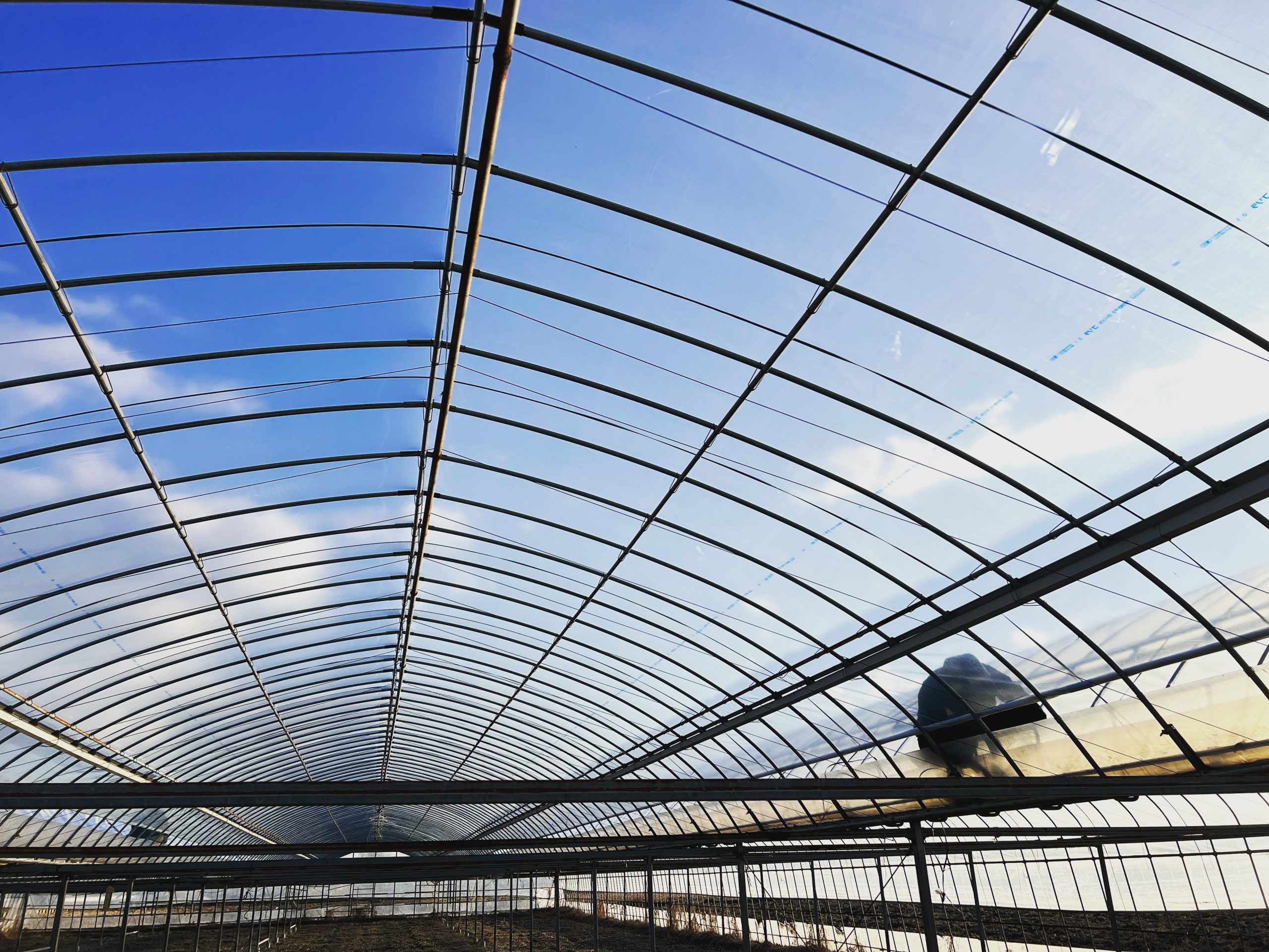 農業界は閑散期です。