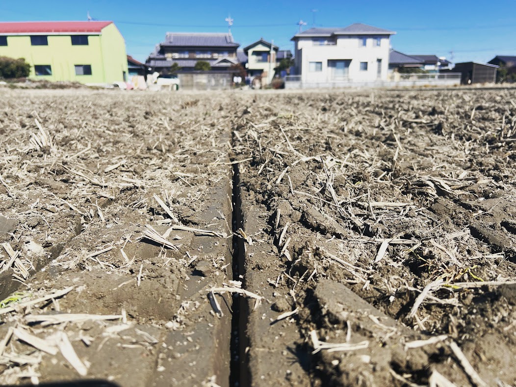 直播栽培の播種が始まりました！