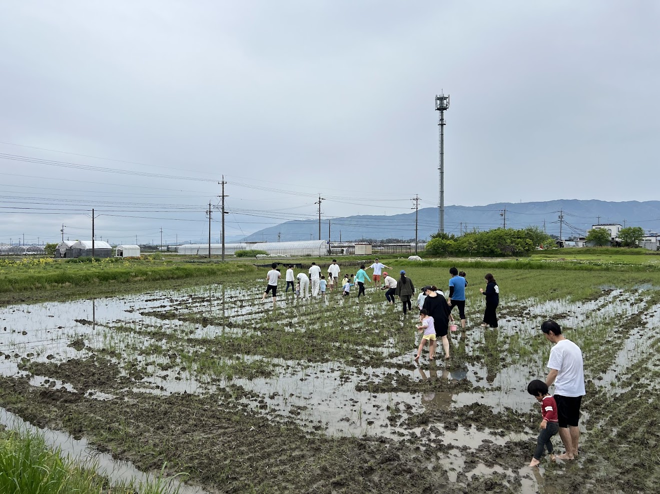 先日のことですが。