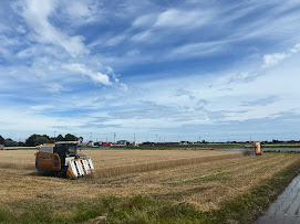 麦刈りが終わりました！
