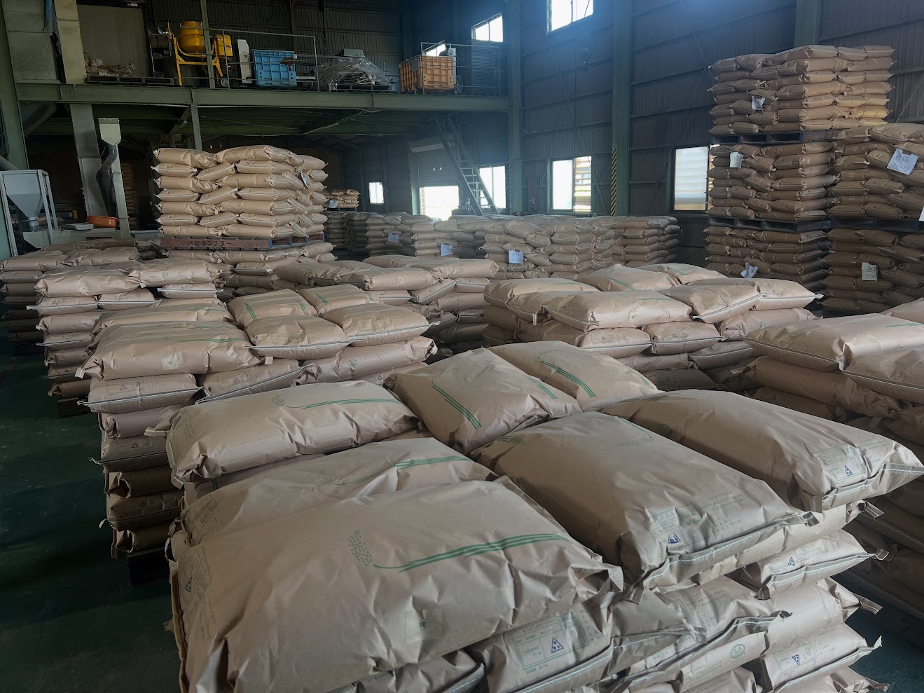 早生品種の準備ができました！