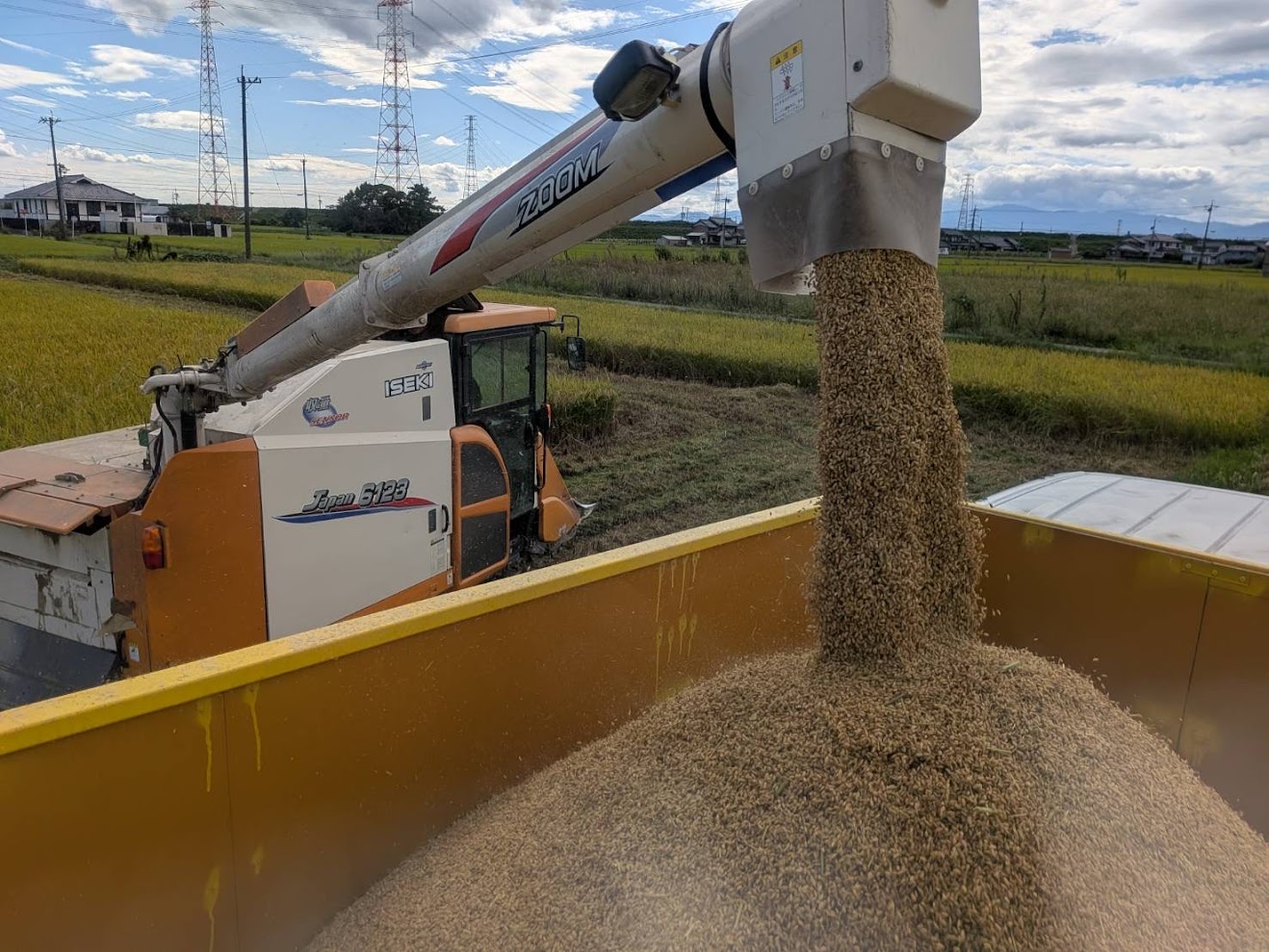 直播き栽培のお米の刈り取りが始まりました！
