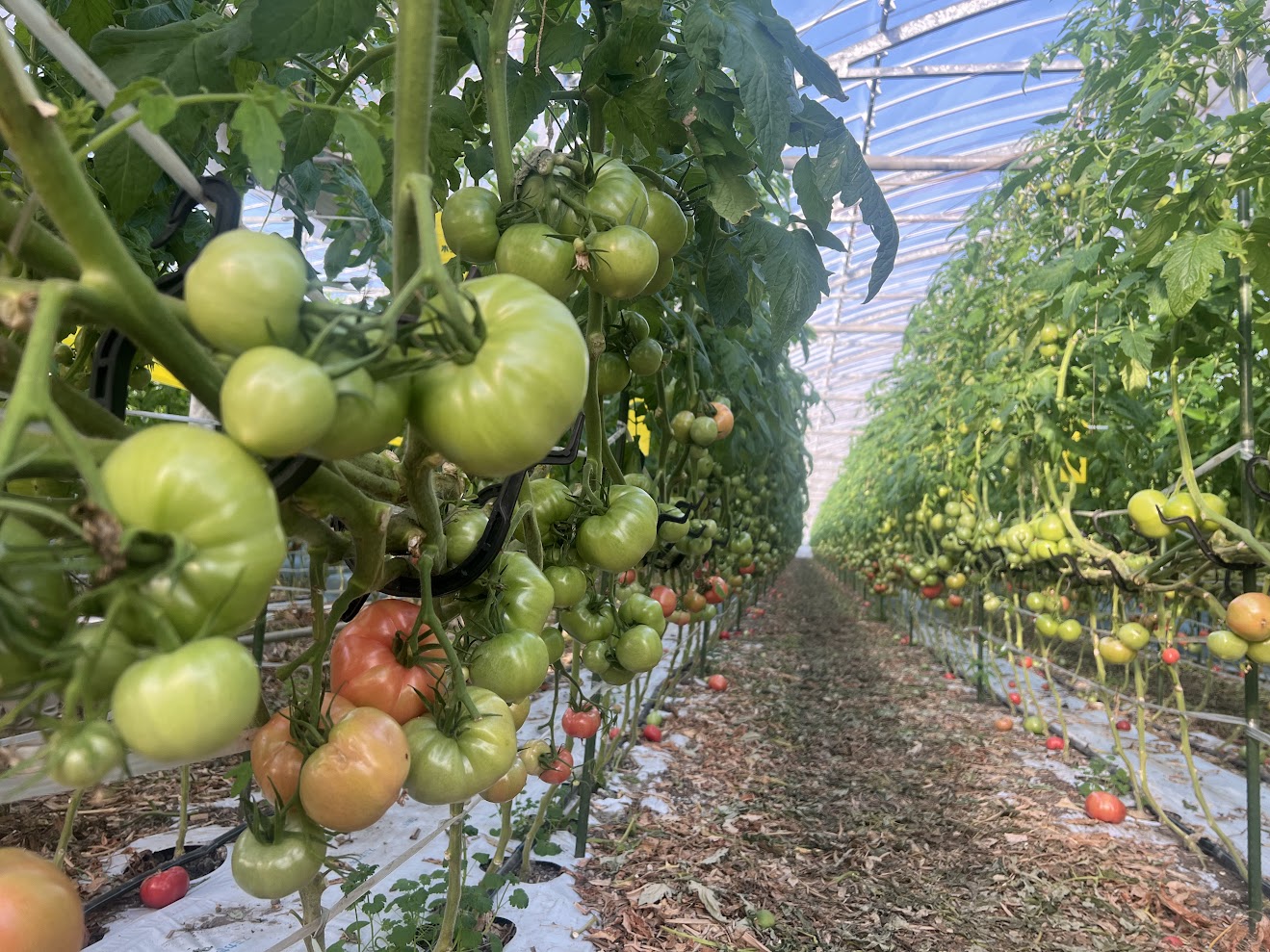 先週は視察に、、、